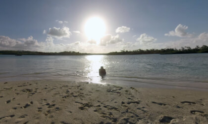 360 VR Parents and child relaxing on the beach of Mauritius