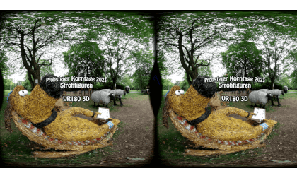 VR-Erlebnis: Probsteier Korntage 2023 - Strohfiguren in VR180 3D VR-Erlebnis: Probsteier Korntage 2023 - Strohfiguren in VR180 3D