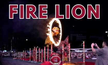 Fire lion show｜Dragon in the mall