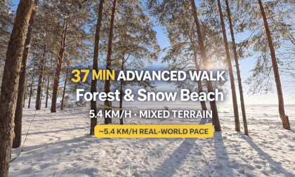 37 MIN ADVANCED WALK | Forest & Snow Beach | 5.4 km/h | Mixed Terrain