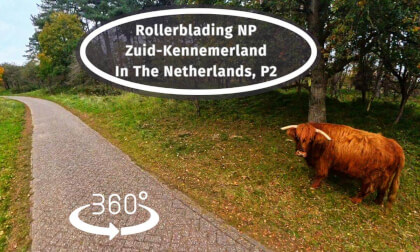Skating Adventure in Zuid Kennemerland NP near Zandvoort, NL. #360 VR (P2)