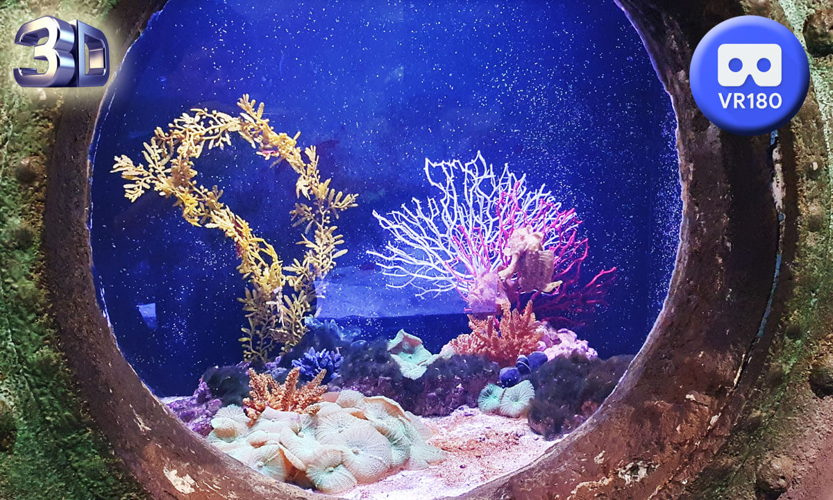 Aquarium Amneville 2023 VR 180 3D