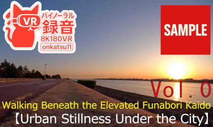 【SAMPLE】🌃 [Walking Beneath the Elevated Funabori Kaido — Urban Stillness Under the City (8K VR180 & Binaural Audio)] 🚶‍♂️✨ Chapter Zero‼