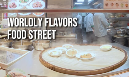 WORLDLY FLAVORS FOOD STREET