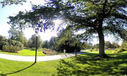 HfxGardens-2