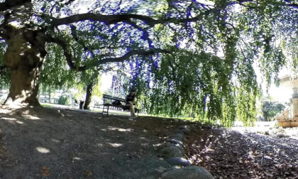 UnderTheTree