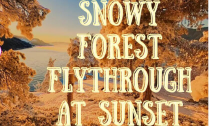 Golden Hour Flight Through a Snowy Forest in Norway | 360° VR Relaxation