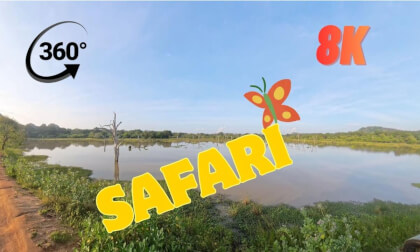 Virtual Drive: Wild Sri Lanka: A 90-Second Journey Through Yala  (8K 360°)