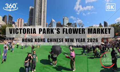 Victoria Park's Flower Market -Hong Kong Chinese New Year 2026 | 8K 360VR