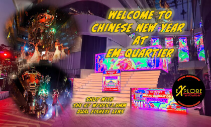 Welcome to the Year of the Fire Horse - with Canon 3.9mm Dual Fisheye Lens