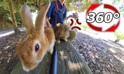 [360 Video] Jealousy!? Even though we were eating together on the bench...
