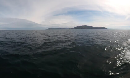 Sailing with Dolphins: Immersive 3D Experience in the Atlantic