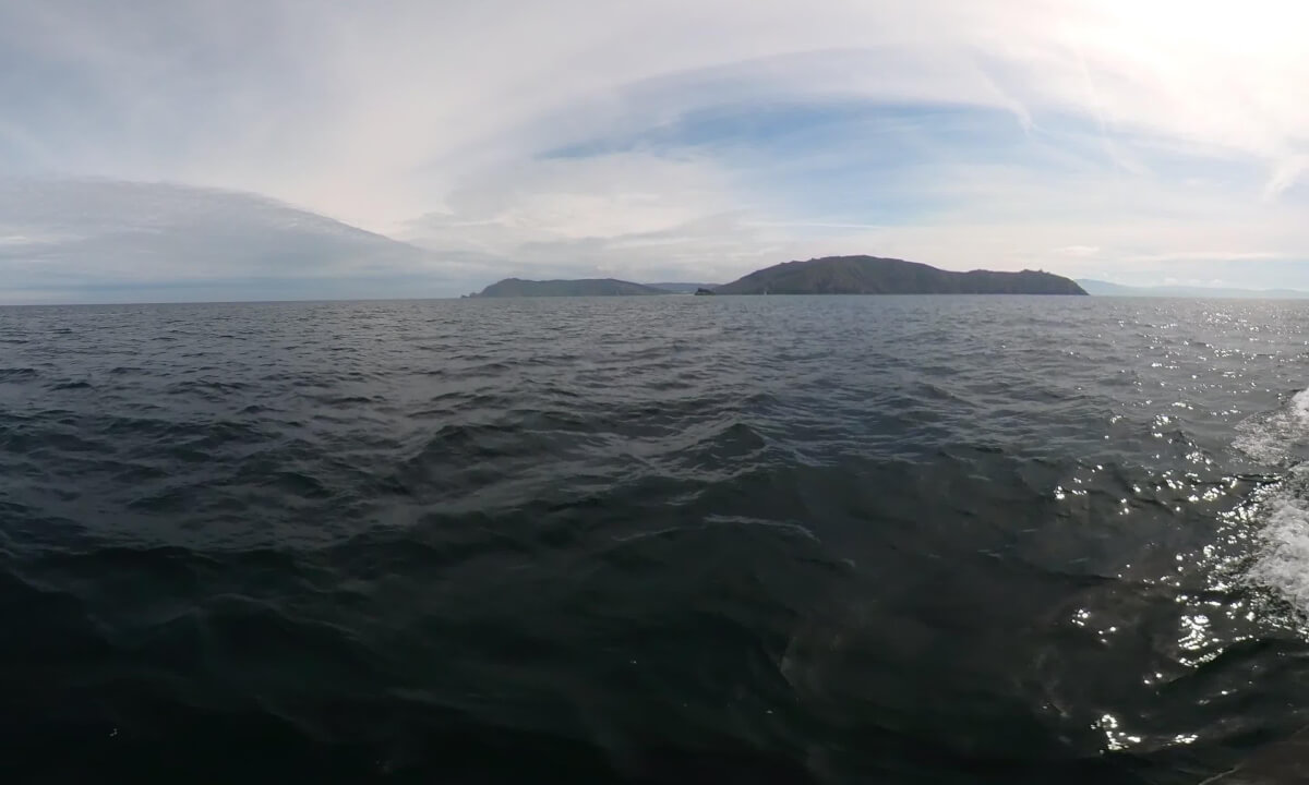 Sailing with Dolphins: Immersive 3D Experience in the Atlantic