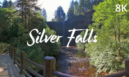 Silver Falls State Park in 8K 3D 360