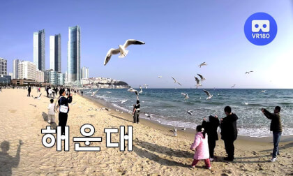 HAEUNDAE 2026