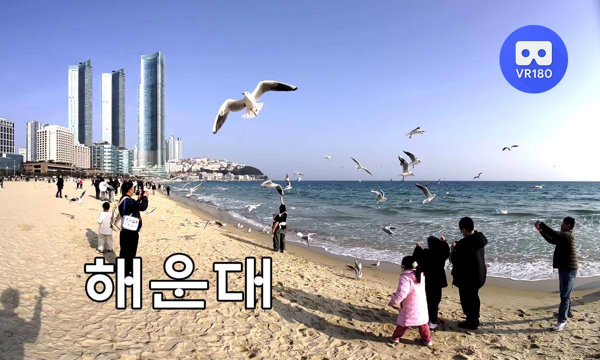 HAEUNDAE 2026