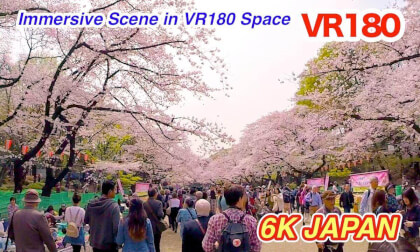 VR180 3D – Cherry Blossoms in Ueno Park & Shinobazu Pond, Tokyo (Converted from 3D Footage)