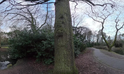 Stewart Park inner Ponds