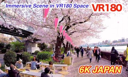 VR180 3D – Cherry Blossoms Along the Sumida River, Tokyo (Converted from 3D Footage)