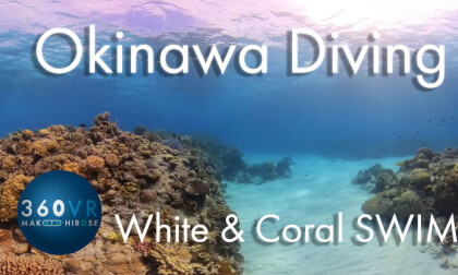 Okinawa Diving -Travel JAPAN- [White & Coral SWIM]