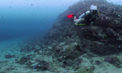 Philippines PG diving part.1 | 20251103 | Virtual Travel | 4K 360°