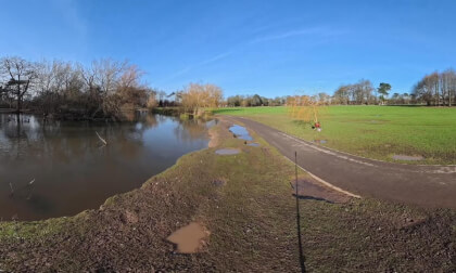Stewart Park Duck Pond