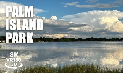Palm Island Park Mount Dora Florida VR180 8K 3D | Lake Dora Boardwalk Nature Trail VR视频 8K 3D動画 VR旅行