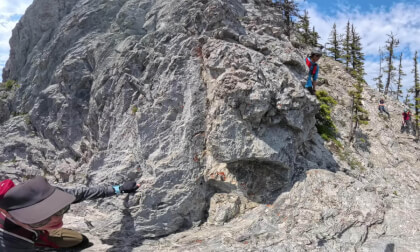 mount baldy hiking part.3 | 20250607 | Virtual Travel | 4K 360°