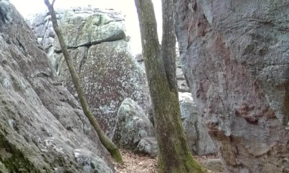 Introduction to Alabama Geology Virtual Reality