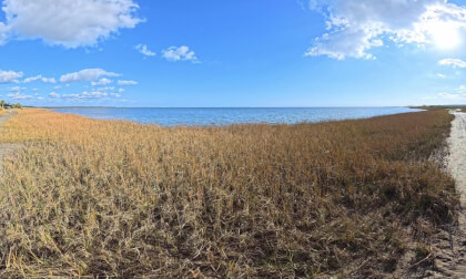 8K VR 360 Walking on Wakulla Beach