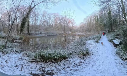 360° Snow Walk Through Fairy Dell Park, Middlesbrough ❄️ | Peaceful Winter Virtual Walk 🌨️