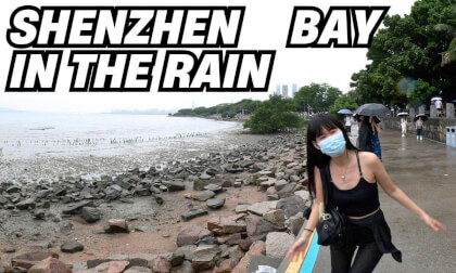 Shenzhen Bay | A Leisurely Stroll in the Rain