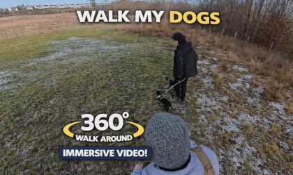 Walking The Mini Gang - Scotland | 8K 360° Walk Around Experience