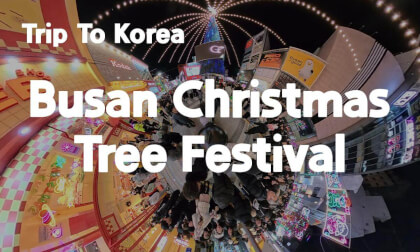 [360 Trip to Korea] Busan Christmas Tree Festival 🎄 Korea’s Most Dazzling Winter Street