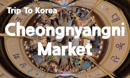 [360 Trip to Korea] Cheongnyangni Market 🇰🇷 Seoul’s Rawest Local Market Experience