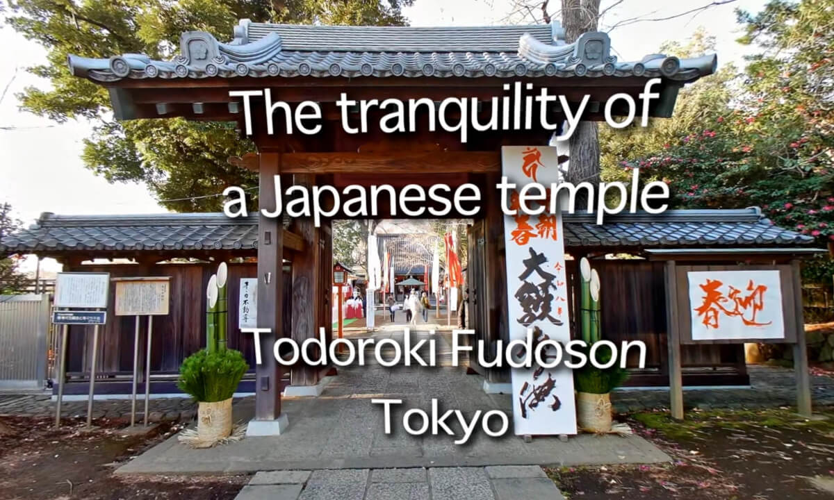 The tranquility of a Japanese temple