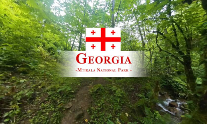 180 VR - Georgia 2025 - part 9 - Mtirala National Park