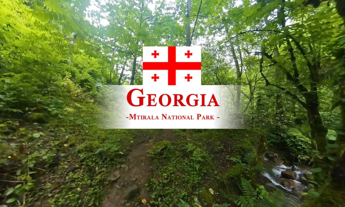 180 VR - Georgia 2025 - part 9 - Mtirala National Park