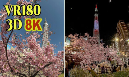 Early-blooming Kawazu cherry blossoms and Tokyo Skytree in Tokyo , JAPANA