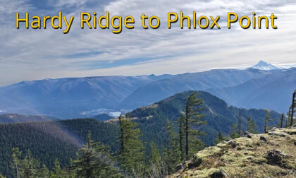 Phlox Point on Hardy Ridge, Washington
