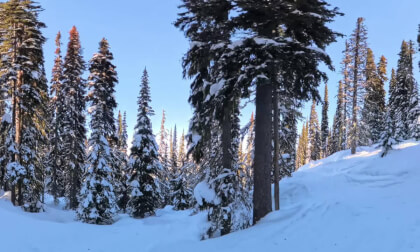 Revelstoke Ripper Chair | 20260301 | Virtual Travel | 4K 360°