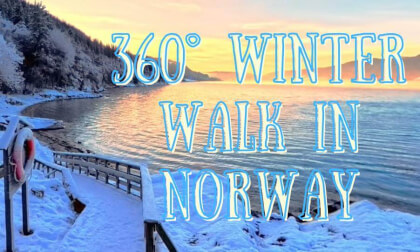 360° Winter Walk in Norway | Snowy Forest to Rocky Beach | VR Experience