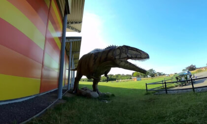 Nice Dino on Fehmarn Island, Germany