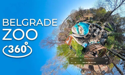 VR 360 Trip to Belgrade Zoo | Virtual Travel