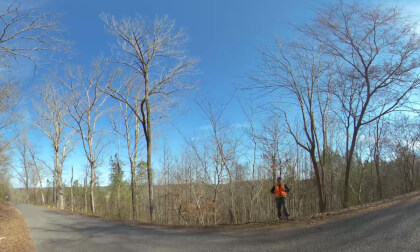 Stop: 3 Colvin Mtn near Hokes Bluff