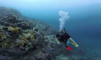 Philippines PG diving part.2 | 20251103 | Virtual Travel | 4K 360°