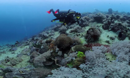 Philippines PG diving part.3 | 20251103 | Virtual Travel | 4K 360°