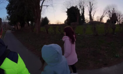 Walk with Family