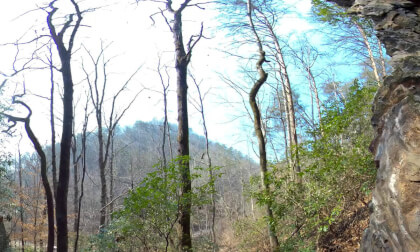 VR Alabama Geology