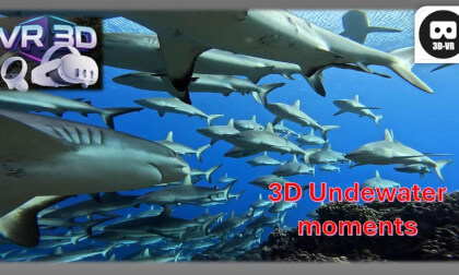 3D GoPro Most Beautiful Underwater Moments just relax